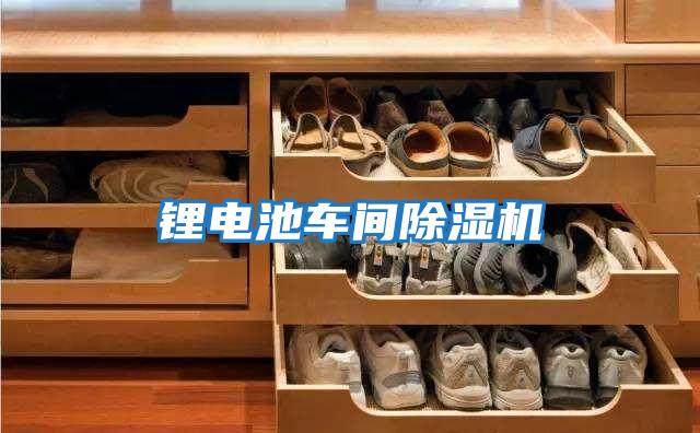 鋰電池車(chē)間除濕機