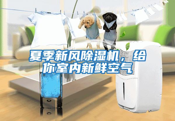 夏季新風(fēng)除濕機，給你室內新鮮空氣