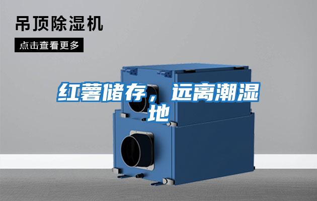 紅薯儲存，遠離潮濕地