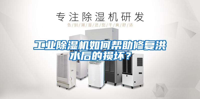 工業(yè)除濕機如何幫助修復洪水后的損壞？