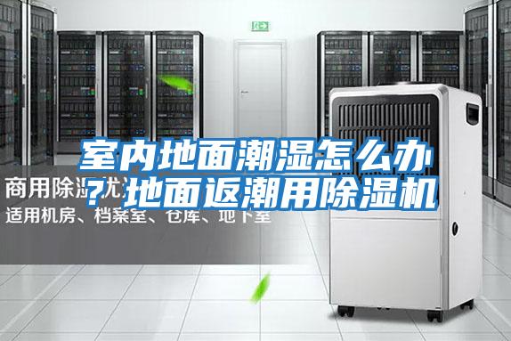 室內地面潮濕怎么辦？地面返潮用除濕機