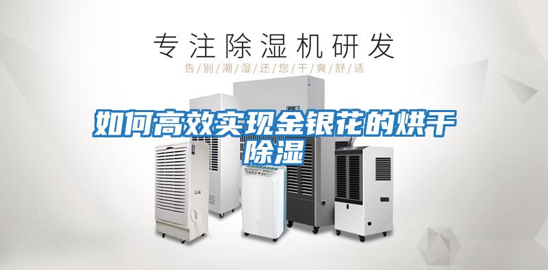 如何高效實(shí)現金銀花的烘干除濕