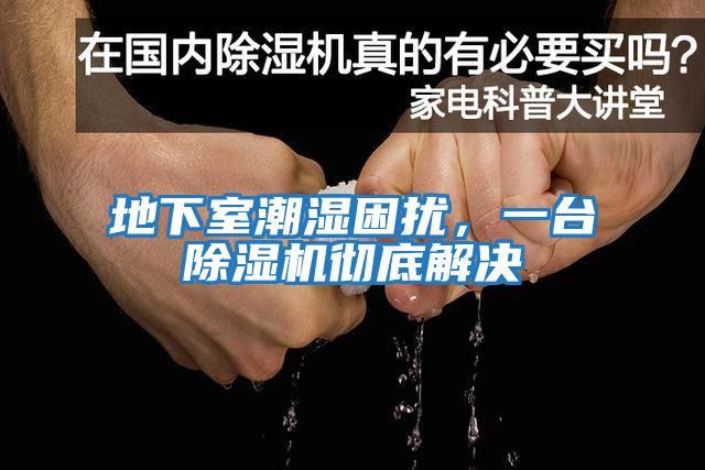 地下室潮濕困擾，一臺除濕機徹底解決