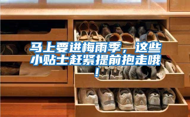 馬上要進(jìn)梅雨季，這些小貼士趕緊提前抱走哦！