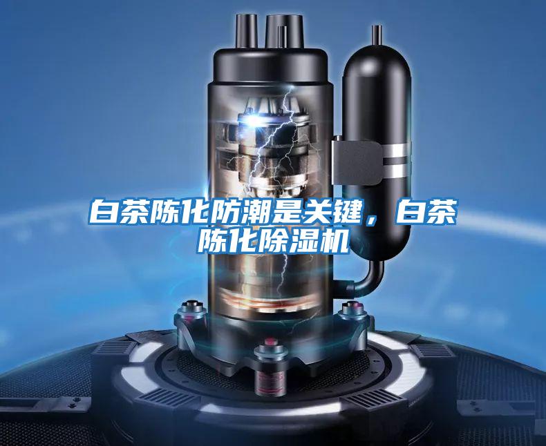 白茶陳化防潮是關(guān)鍵，白茶陳化除濕機