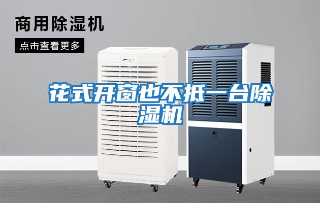 花式開(kāi)窗也不抵一臺除濕機