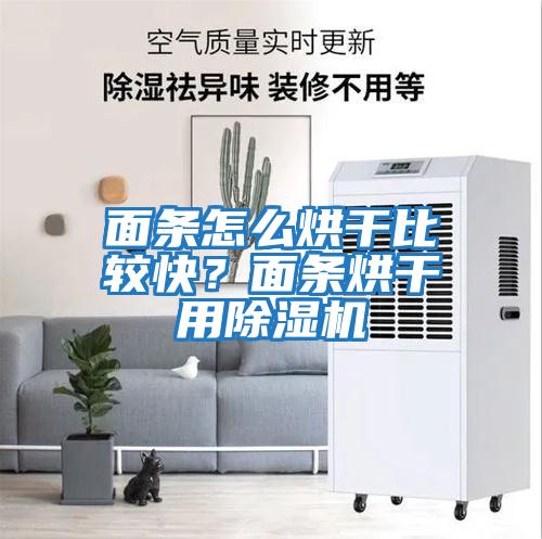 面條怎么烘干比較快？面條烘干用除濕機