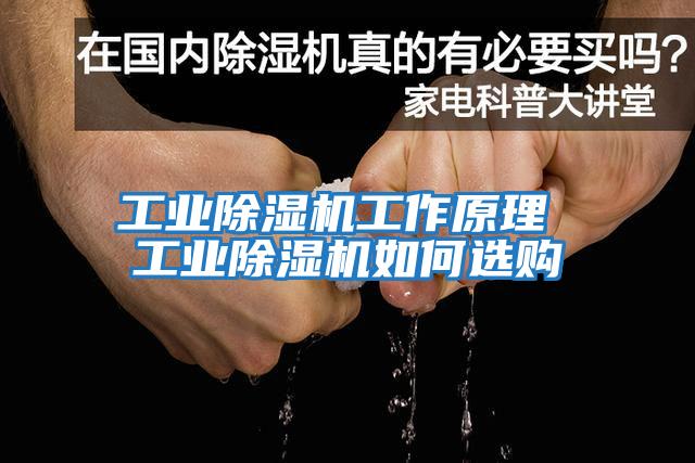 工業(yè)除濕機工作原理 工業(yè)除濕機如何選購