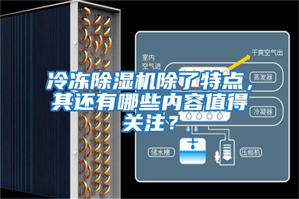冷凍除濕機除了特點(diǎn),其還有哪些內容值得關(guān)注?
