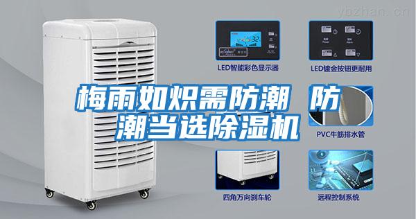 梅雨如熾需防潮 防潮當選除濕機