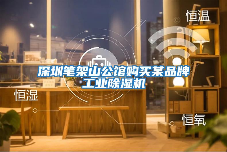 深圳筆架山公館購買(mǎi)某品牌工業(yè)除濕機
