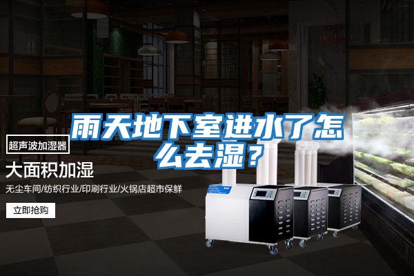 雨天地下室進(jìn)水了怎么去濕？