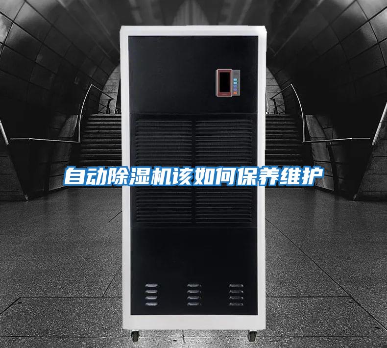 自動(dòng)除濕機該如何保養維護