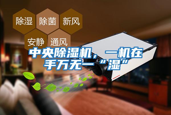 中央除濕機，一機在手萬(wàn)無(wú)一“濕”