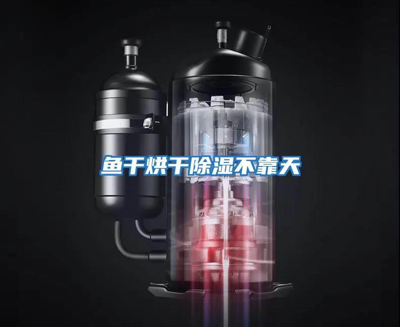 魚(yú)干烘干除濕不靠天