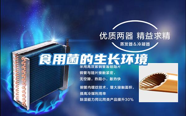 食用菌的生長(cháng)環(huán)境