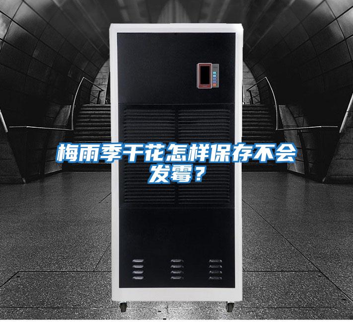 梅雨季干花怎樣保存不會(huì )發(fā)霉？