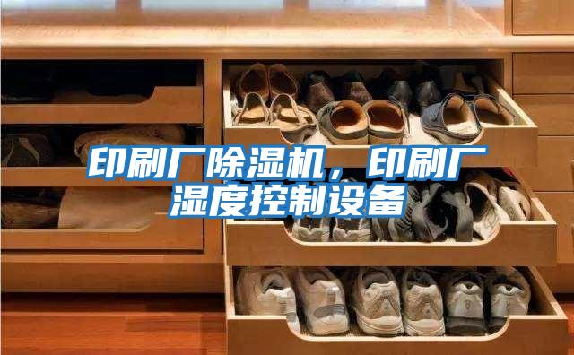 印刷廠(chǎng)除濕機，印刷廠(chǎng)濕度控制設備