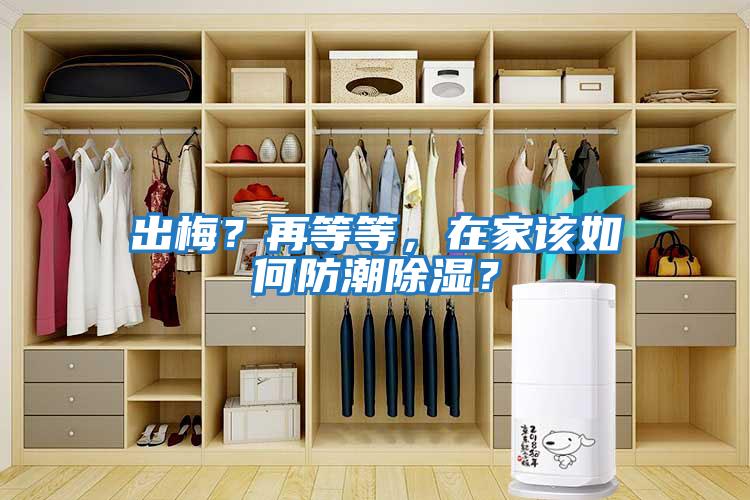 出梅？再等等，在家該如何防潮除濕？