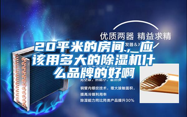 20平米的房間，應該用多大的除濕機什么品牌的好啊