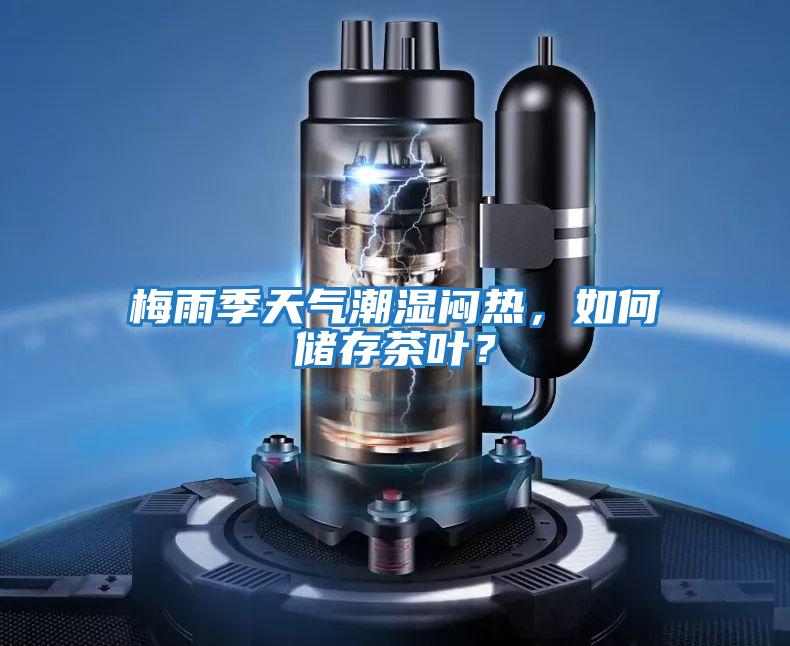梅雨季天氣潮濕悶熱，如何儲存茶葉？