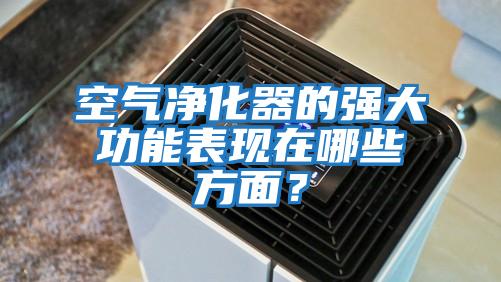 空氣凈化器的強大功能表現在哪些方面？