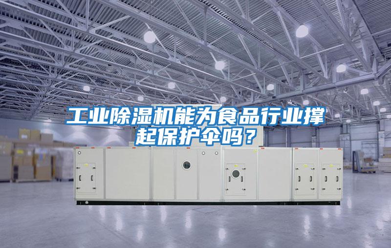 工業(yè)除濕機能為食品行業(yè)撐起保護傘嗎？