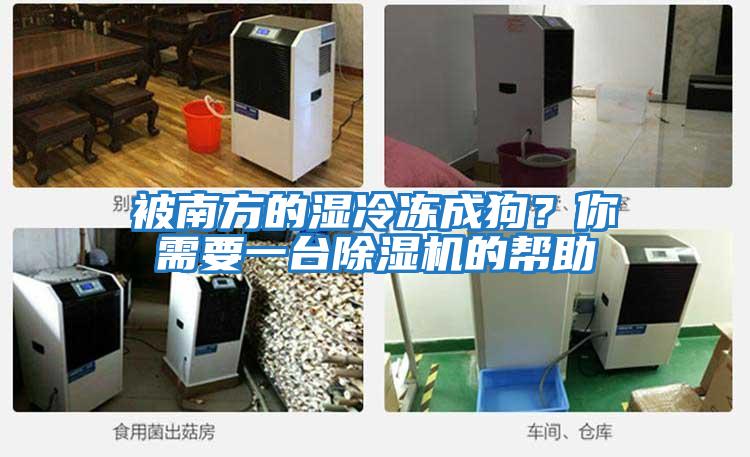 被南方的濕冷凍成狗？你需要一臺除濕機的幫助
