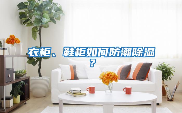 衣柜、鞋柜如何防潮除濕？