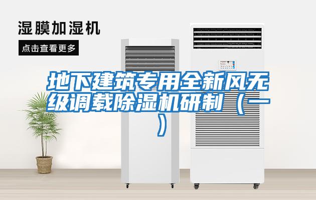 地下建筑專(zhuān)用全新風(fēng)無(wú)級調載除濕機研制(一)