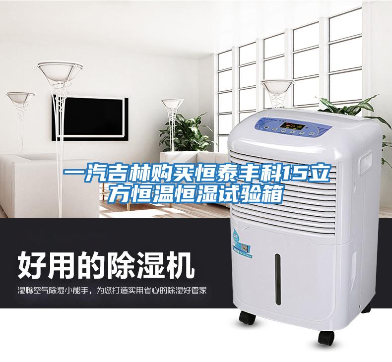 一汽吉林購買(mǎi)恒泰豐科15立方恒溫恒濕試驗箱