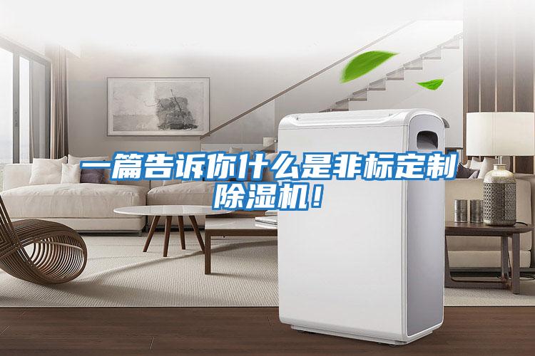 一篇告訴你什么是非標定制除濕機！