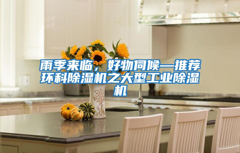 雨季來(lái)臨，好物伺候—推薦環(huán)科除濕機之大型工業(yè)除濕機