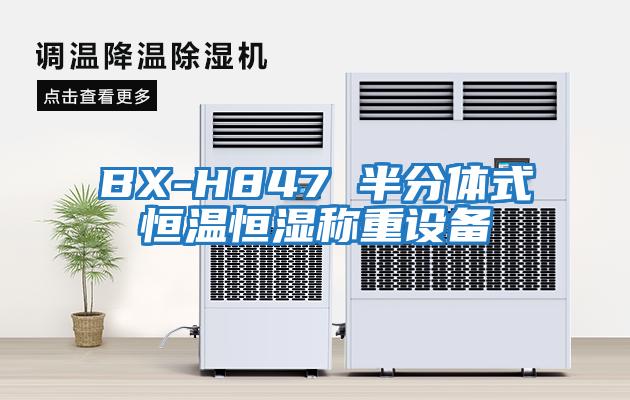 BX-H847 半分體式恒溫恒濕稱(chēng)重設備