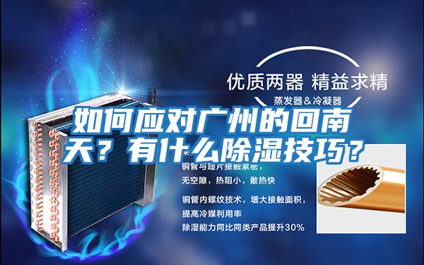 如何應對廣州的回南天？有什么除濕技巧？