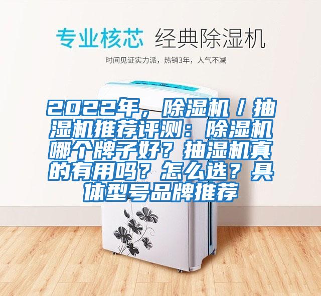 2022年，除濕機／抽濕機推薦評測：除濕機哪個(gè)牌子好？抽濕機真的有用嗎？怎么選？具體型號品牌推薦