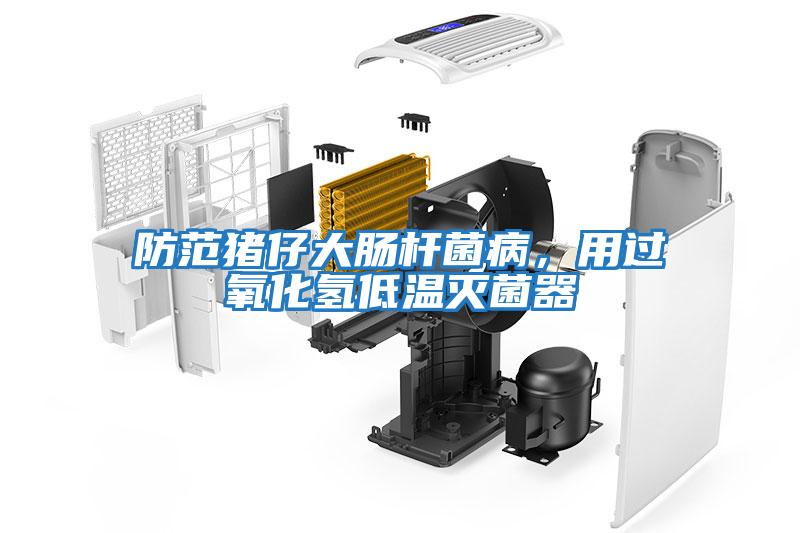 防范豬仔大腸桿菌病，用過(guò)氧化氫低溫滅菌器