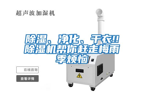 除濕、凈化、干衣!!除濕機幫你趕走梅雨季煩惱
