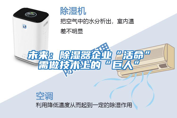 未來(lái):除濕器企業(yè)“活命”需做技術(shù)上的“巨人”