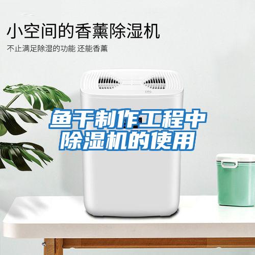 魚(yú)干制作工程中除濕機的使用