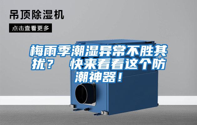 梅雨季潮濕異常不勝其擾？ 快來(lái)看看這個(gè)防潮神器！