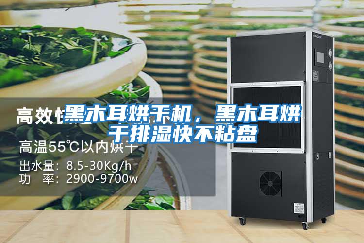 黑木耳烘干機，黑木耳烘干排濕快不粘盤(pán)