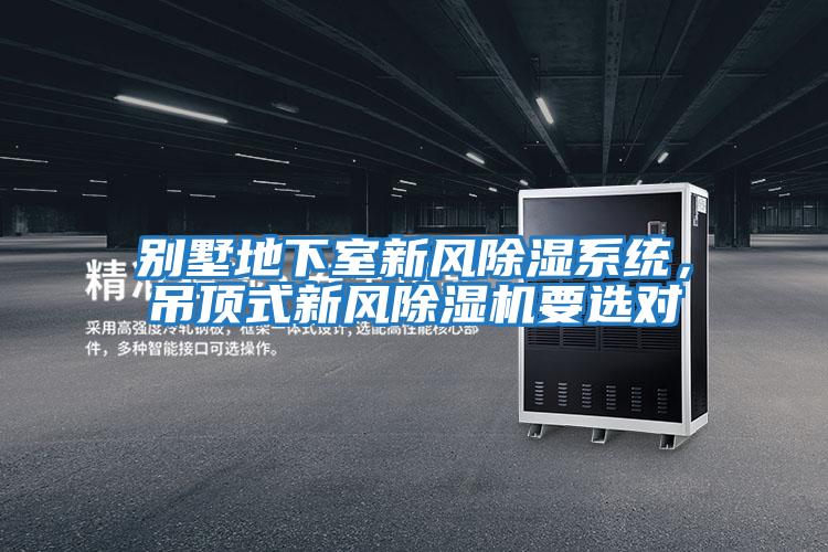 別墅地下室新風(fēng)除濕系統，吊頂式新風(fēng)除濕機要選對
