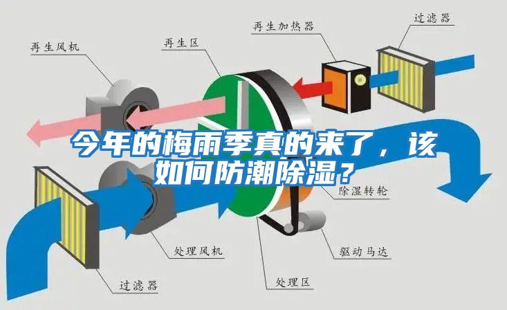 今年的梅雨季真的來(lái)了，該如何防潮除濕？