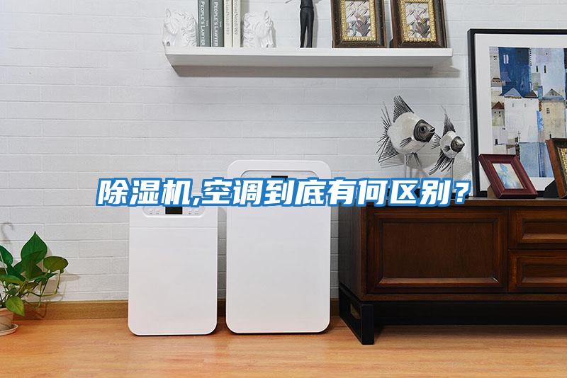 除濕機,空調到底有何區別？