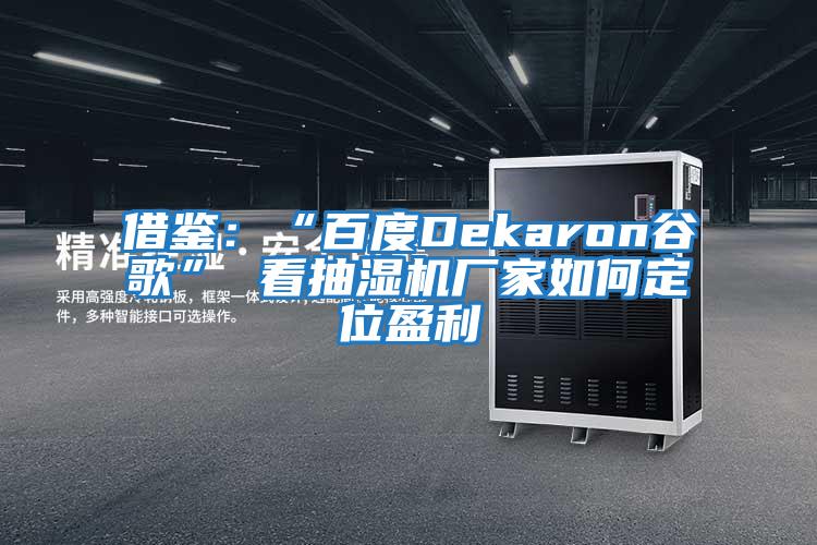 借鑒：“百度Dekaron谷歌” 看抽濕機廠(chǎng)家如何定位盈利