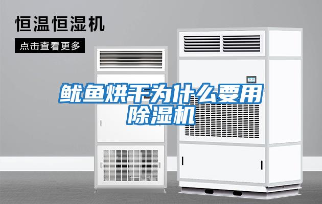 魷魚(yú)烘干為什么要用除濕機
