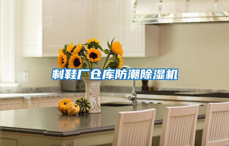 制鞋廠(chǎng)倉庫防潮除濕機