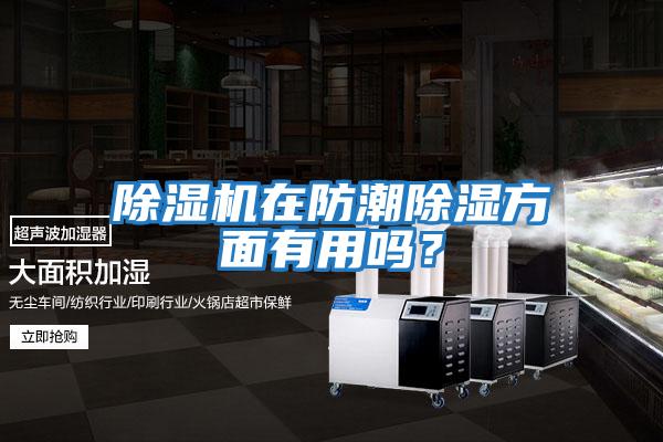 除濕機在防潮除濕方面有用嗎？