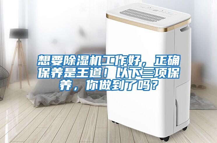 想要除濕機工作好,正確保養是王道!以下三項保養,你做到了嗎?